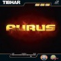 Tibhar Aurus