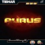 Tibhar Aurus