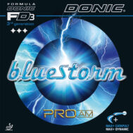 bluestorm_proam_ (1)